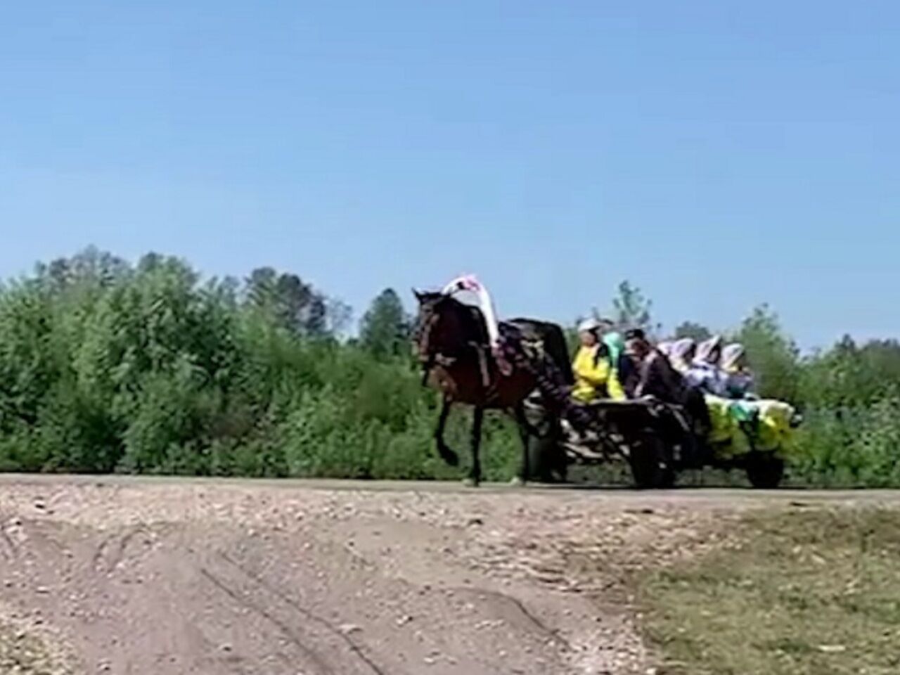 В российском селе автомобиль врезался в повозку с лошадью и попал на видео:  Происшествия: Россия: Lenta.ru