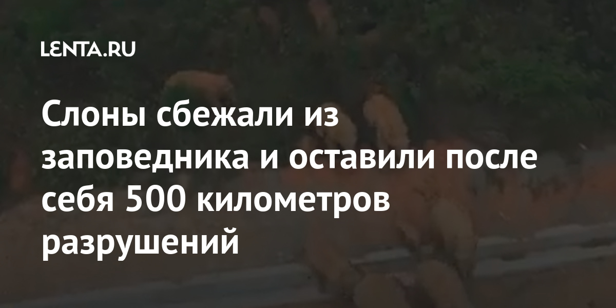 Что можно оставить после себя в жизни