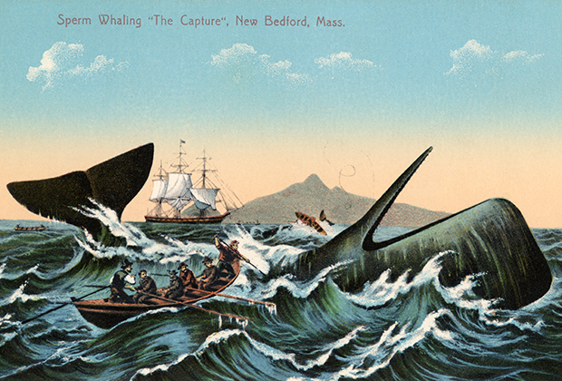Охота на кашалота. Американская иллюстрация 1910 года