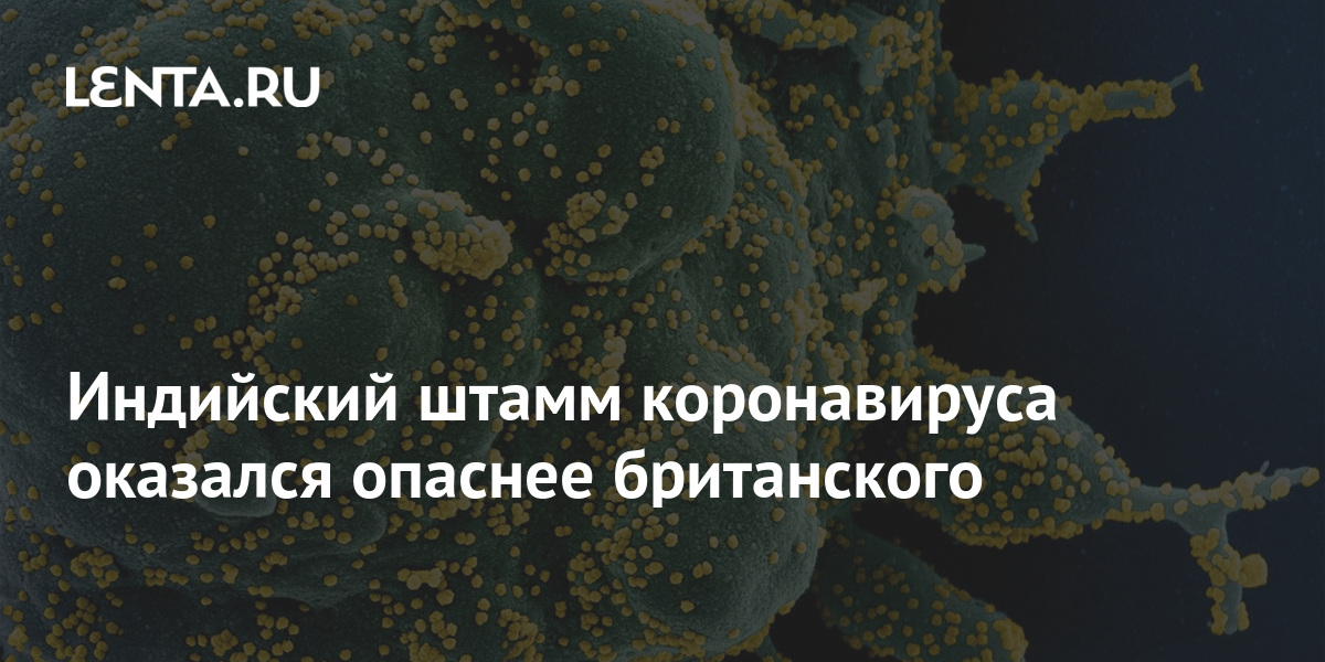 lenta.ru
