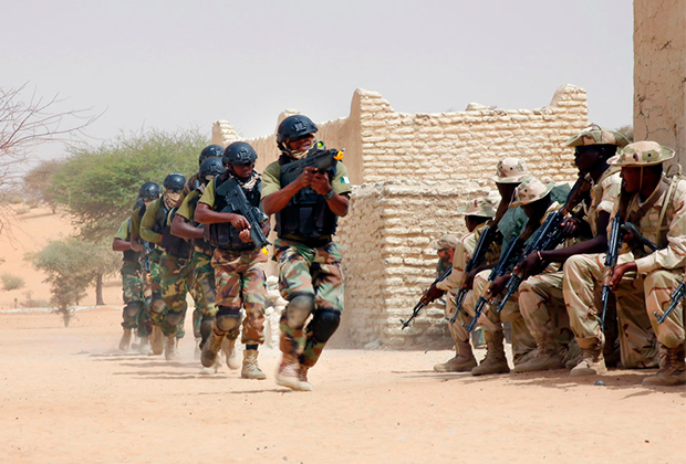 Совместные учения спецназа из Нигерии и Чада с советниками из США, 2015 год