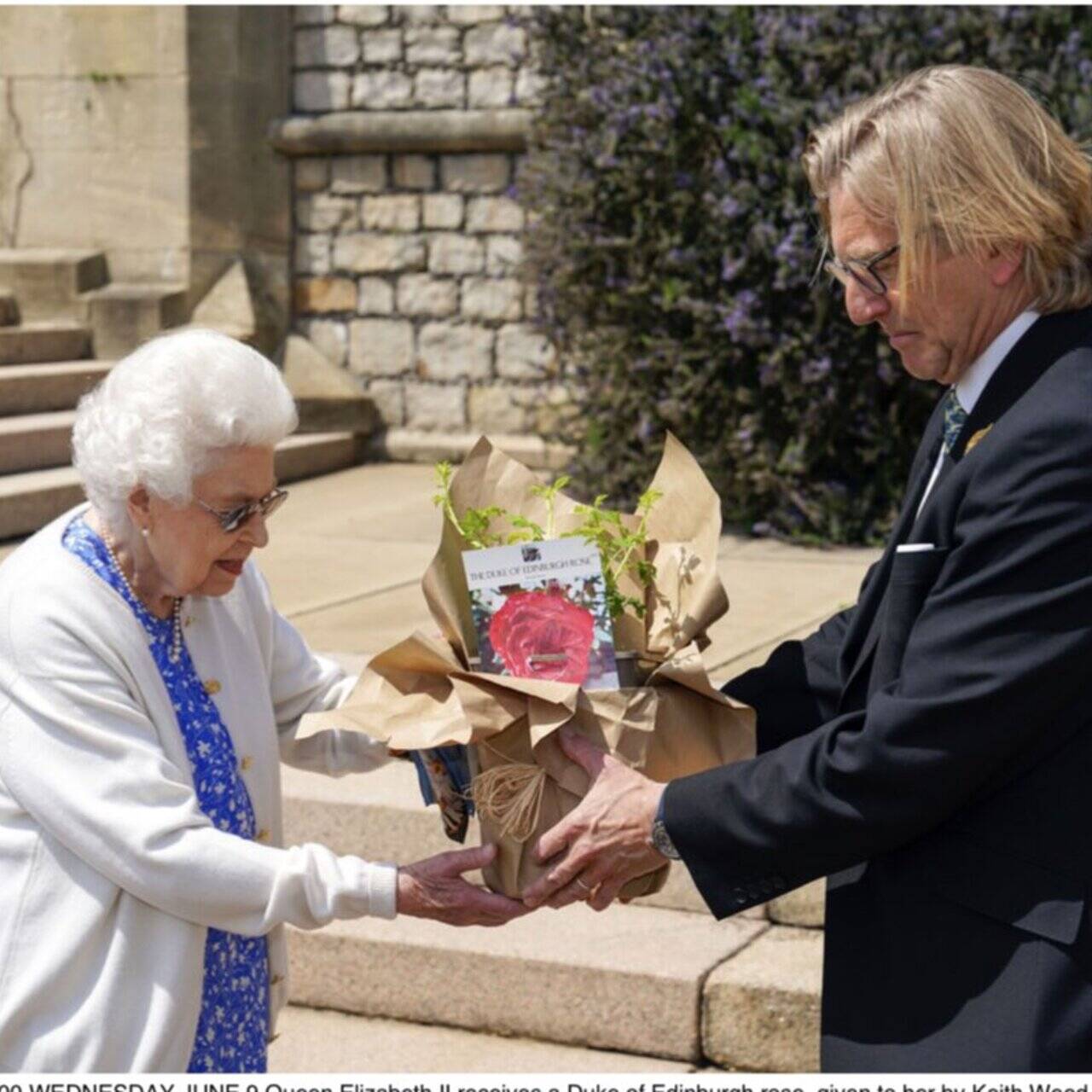 Елизавета II в честь столетия принца Филиппа посадила новый вид роз: Люди:  Из жизни: Lenta.ru