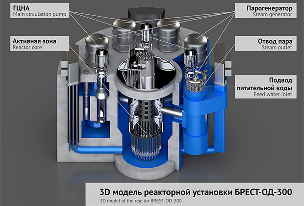 Энергия от вечного двигателя. Об уникальном энергоблоке с реактором на быстрых  нейтронах: Деловой климат: Экономика: Lenta.ru
