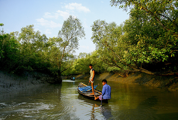 Рыбаки в Сундарбане