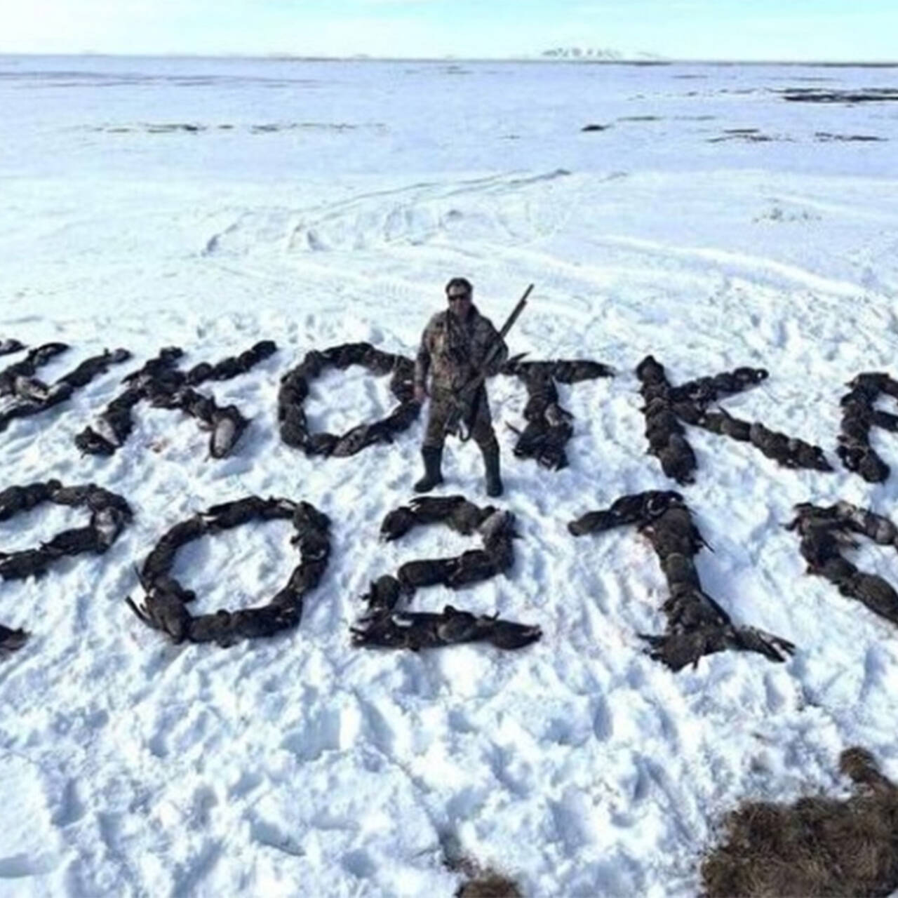 Выложивший трупами птиц надпись «Чукотка 2021» оказался депутатом:  Общество: Россия: Lenta.ru