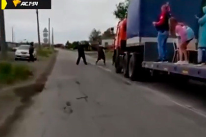 Россияне отметили свадьбу на движущемся грузовике и заинтересовали полицию