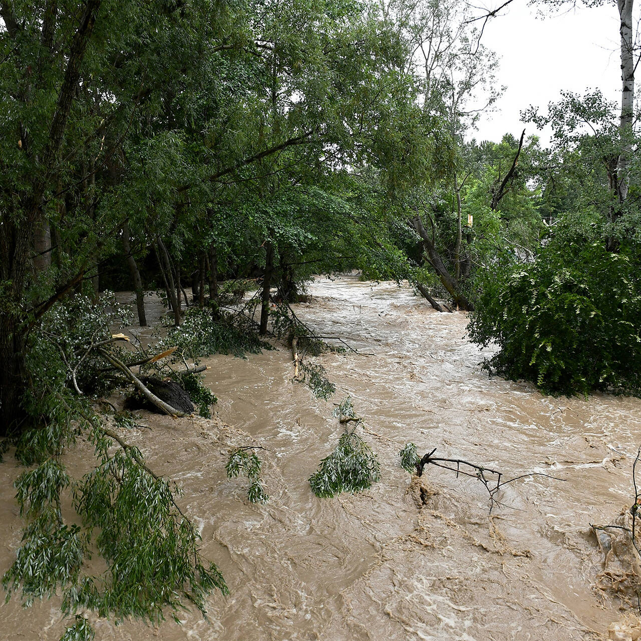 Потоп дал водохранилищам Крыма воду на два года: Общество: Россия: Lenta.ru