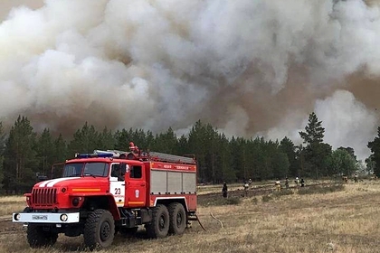 Более 1800 домов спасли от лесных пожаров в Челябинской области