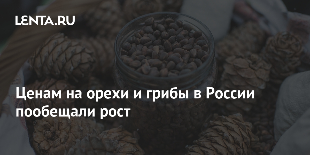Ценам на орехи и грибы в России пообещали рост: Рынки: Экономика: Lenta.ru