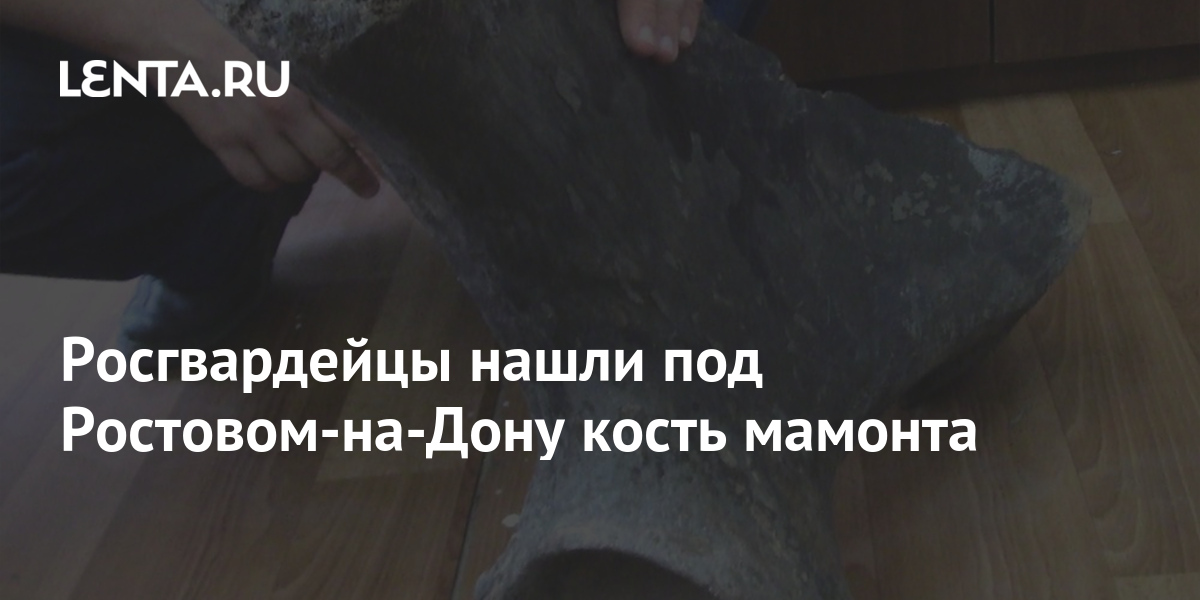 Росгвардейцы нашли под Ростовом-на-Дону кость мамонта 1 share c76cdce0576ca810cf56190f001f7dc2 Росгвардейцы нашли под Ростовом-на-Дону кость мамонта