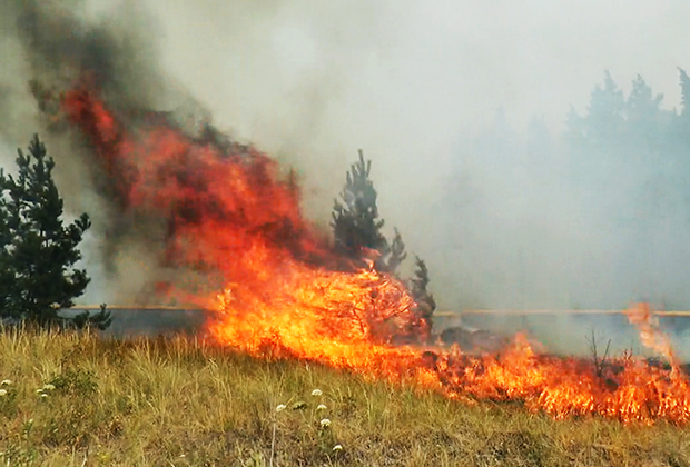Лесной пожар в Челябинской области