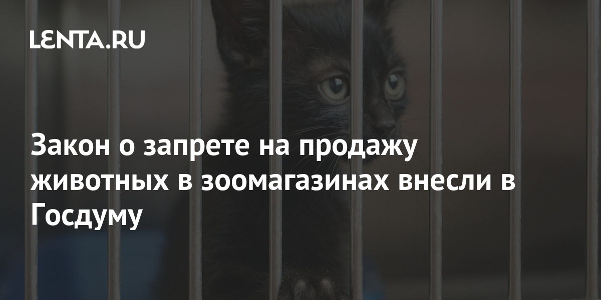 Федеральный закон о защите животных от жестокого обращения. Запрет на продажу животных в зоомагазинах. Птичий рынок москва собаки. Животных в зоомагазинах и на птичьих рынках. Закон о продаже животных.