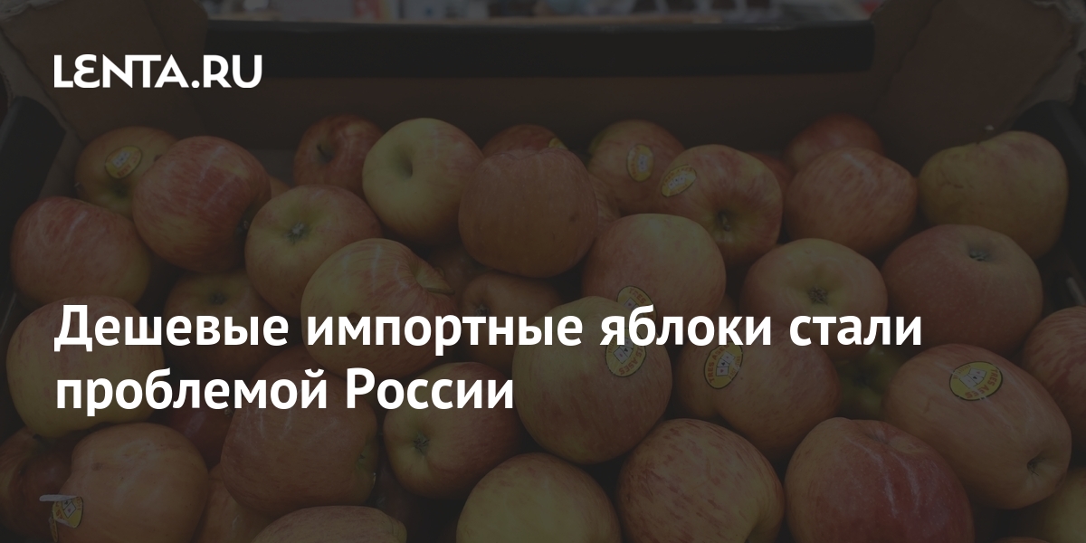 Дешевые импортные яблоки стали проблемой России: Госэкономика ...