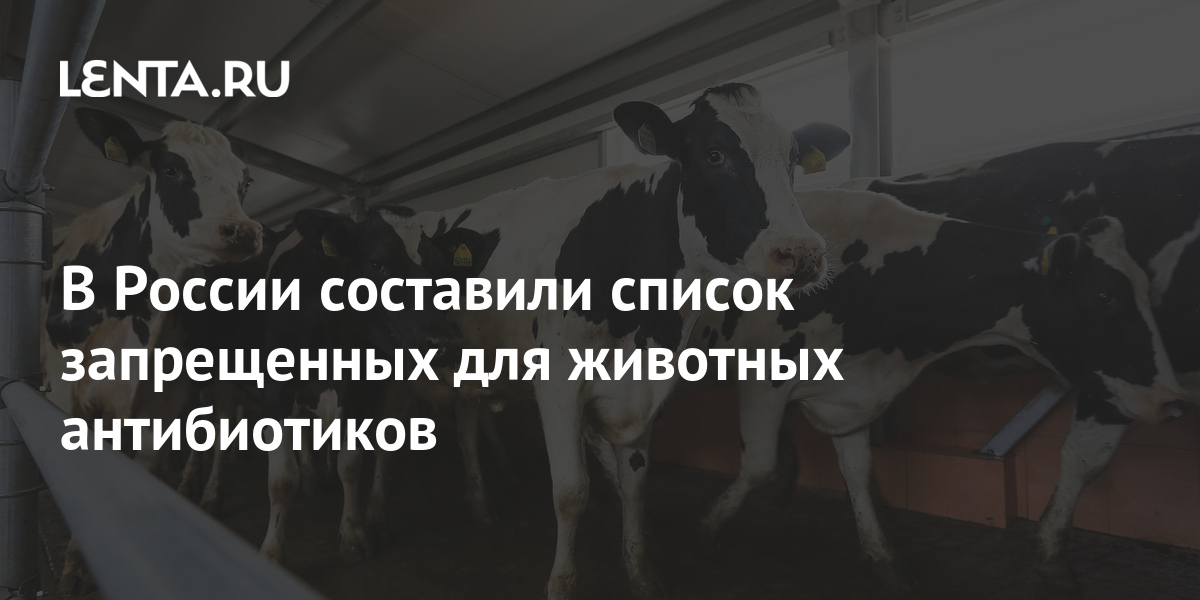 Новые Антибиотики 2022 Года В России Список Новые Антибиотики 2022 Года В России Список