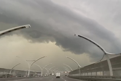 Редкое природное явление в небе над Петербургом попало на видео