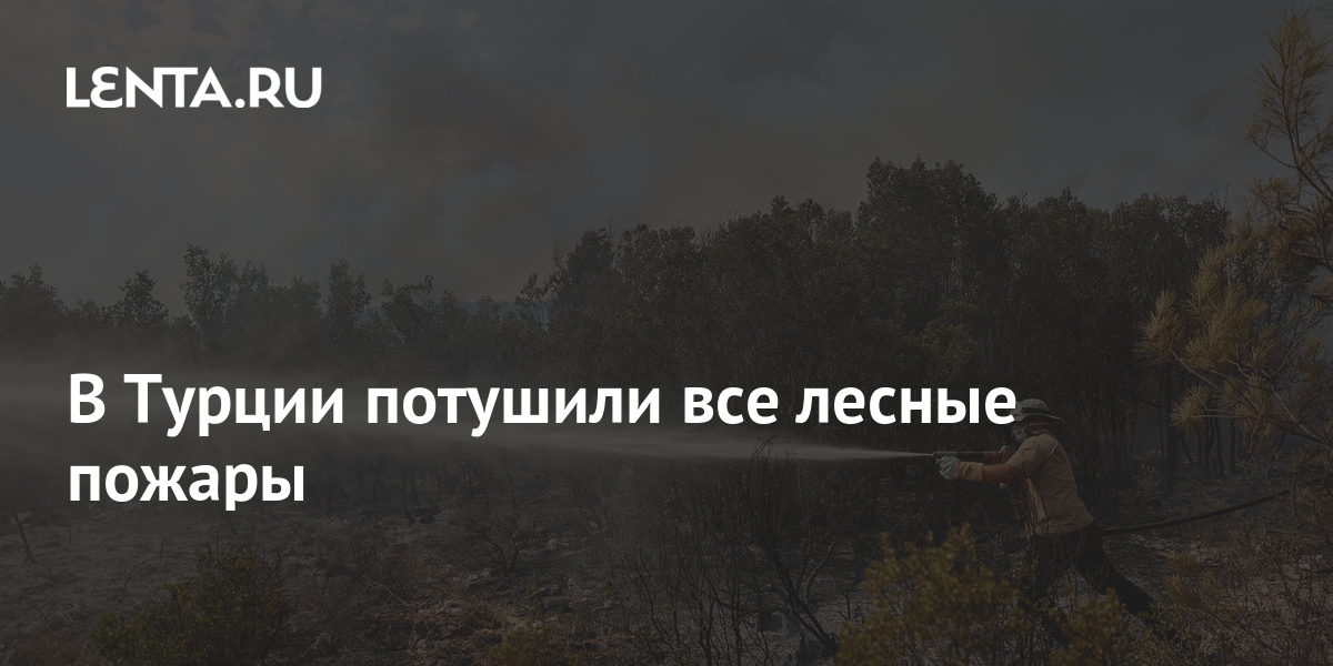 В Турции потушили все лесные пожары: Климат: Среда обитания: Lenta.ru