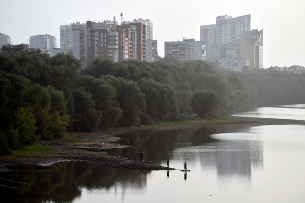 Вводная картинка