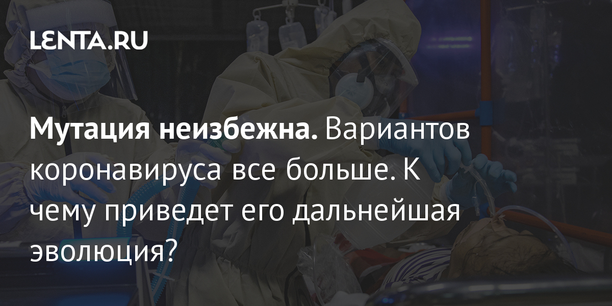 lenta.ru