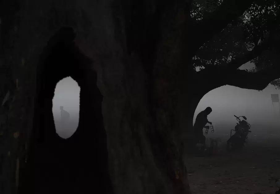 На обеих фотографиях переплетается существование природы и человека. Например, здесь Датта запечатлела мужчину в дупле дерева. На заднем фоне густой туман, а справа от растения местный житель собирает пустые бутылки, чтобы увезти их на своем мотороллере.