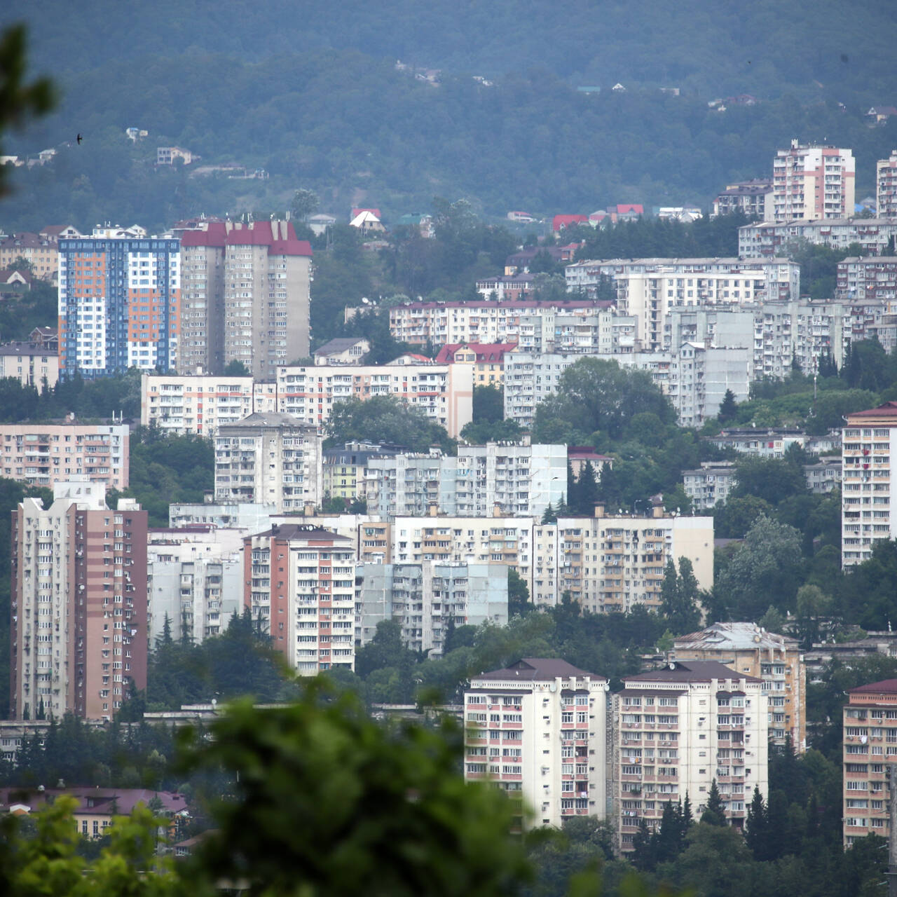 Сочи обогнал Москву по ценам на жилье: Город: Среда обитания: Lenta.ru