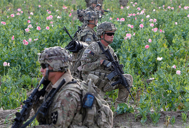 Американские солдаты у макового поля в провинции Кандагар