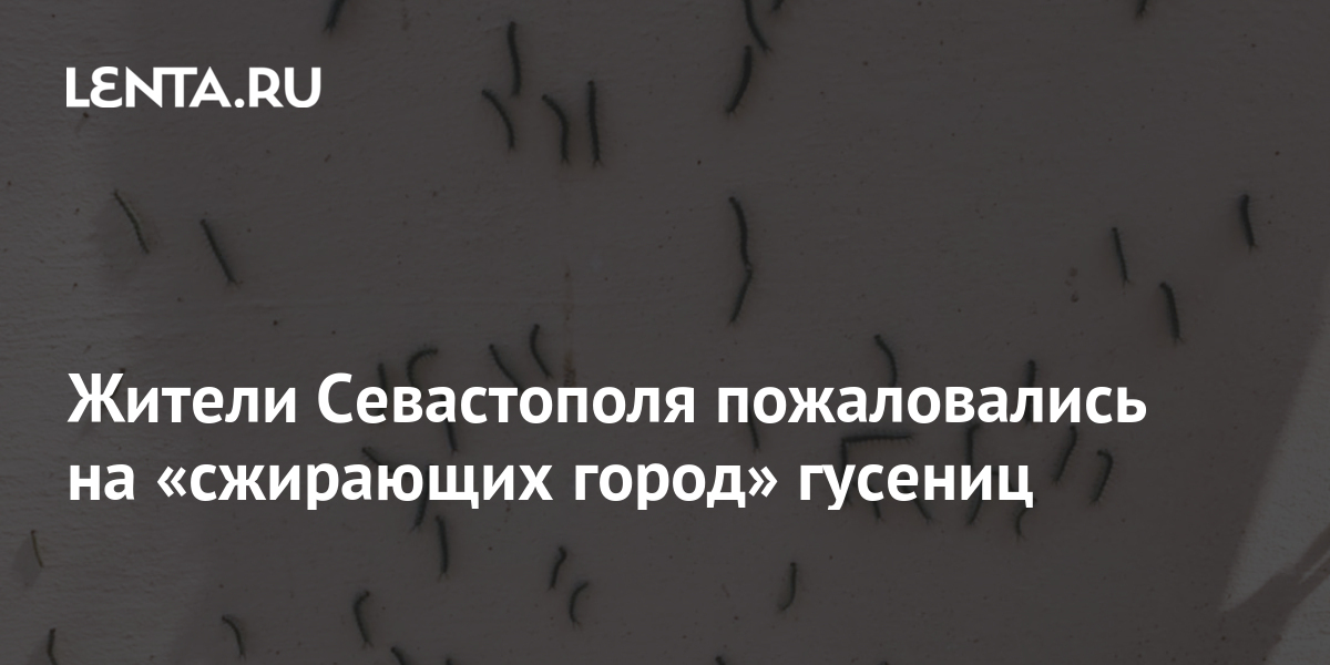 Магазин Лента Пожаловаться
