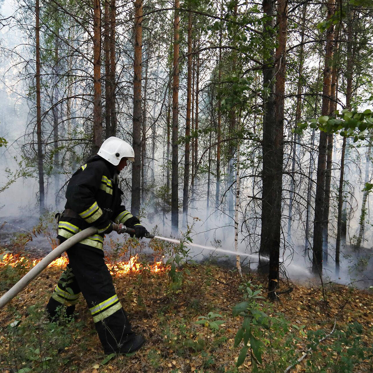 40 действующих. Пожары в лесах. Крупный Лесной пожар. Российский день леса. Пожары в России.