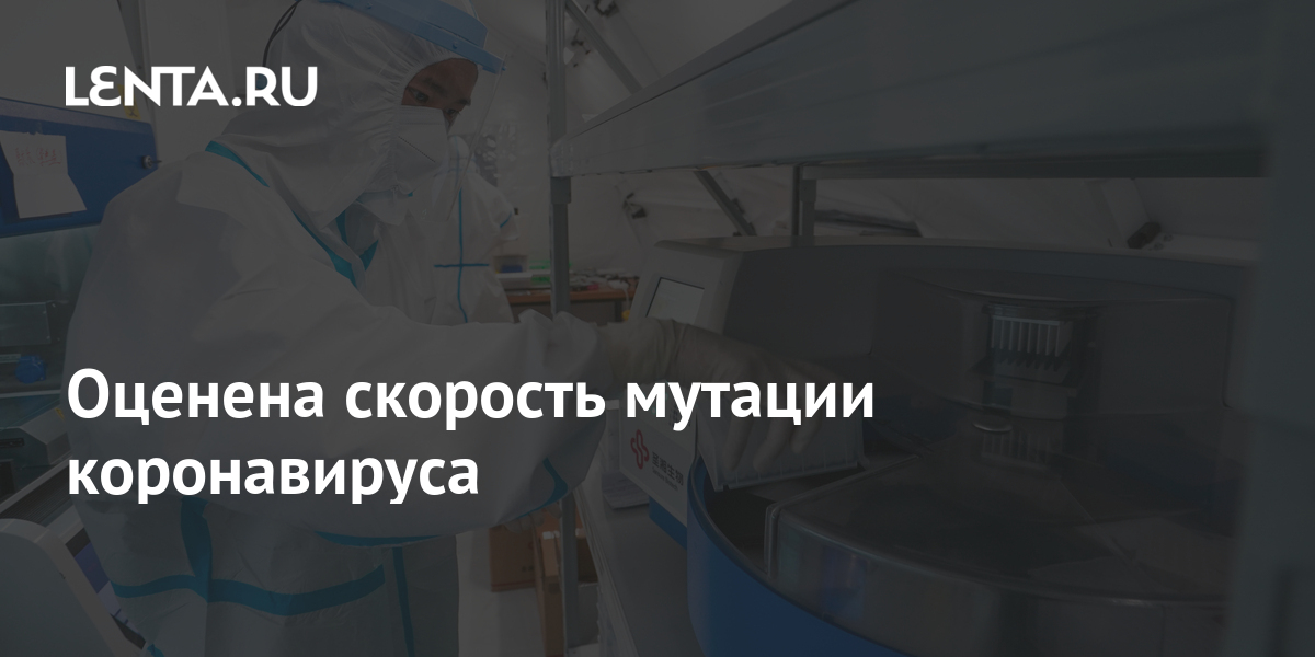 lenta.ru