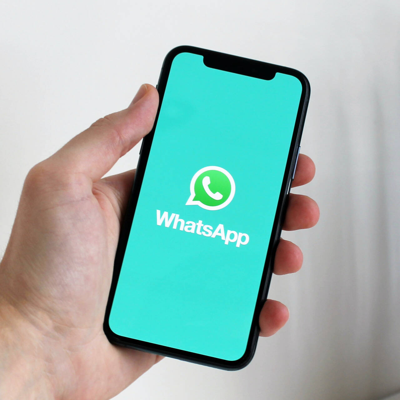 WhatsApp разрешил пользователям не принимать новые правила: Интернет:  Интернет и СМИ: Lenta.ru