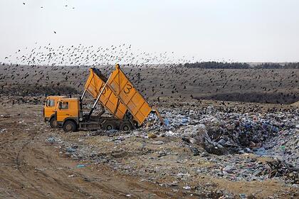 Магазин Лента В Таганроге