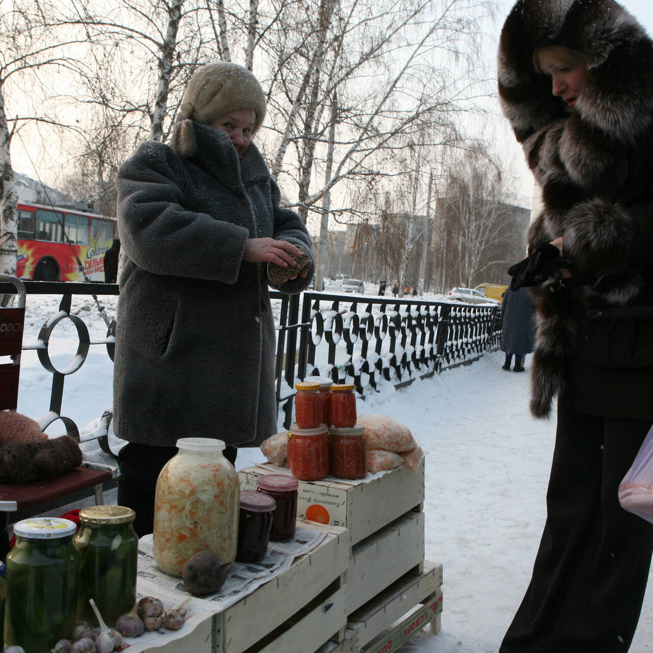 Россиян предупредили о штрафе за хранение банок с консервами в подвалах: Дом:  Среда обитания: Lenta.ru