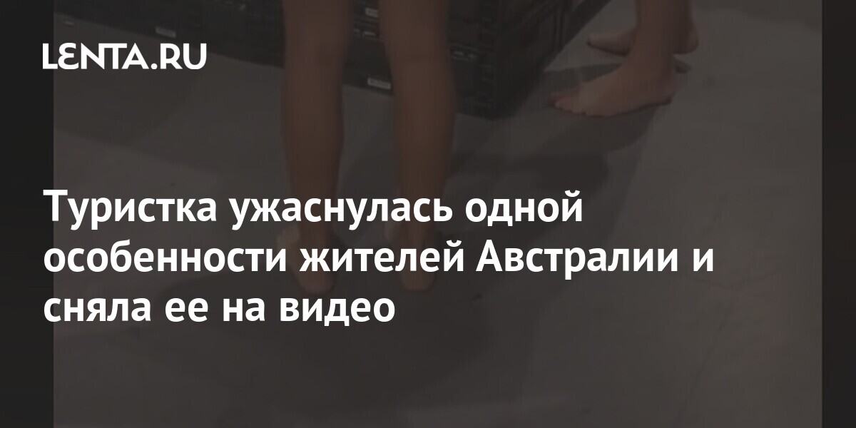 Лента Магазин Поиск