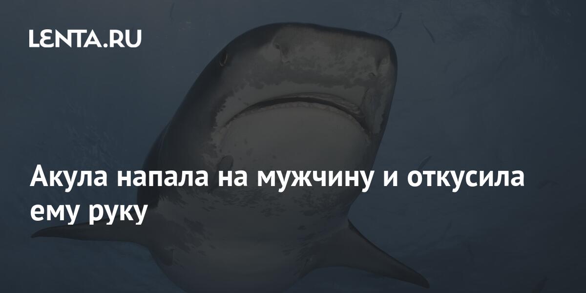 Акула нападения 2017. Парень на которого напала акула. Египет 2023 акула напала на парня русского. Акула в Турции напала на мужчину 2023.