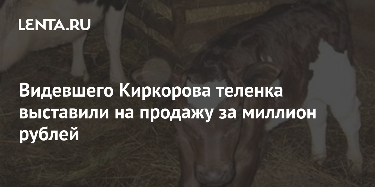 Купить Семена В Магазине Лента