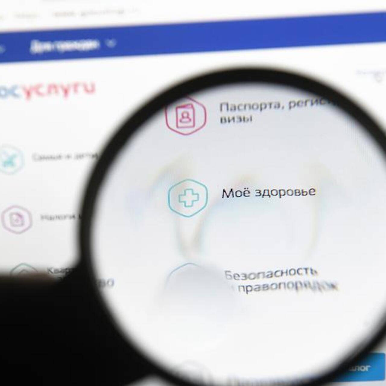 На Госуслугах появится доступ ко всей медкарте: Интернет: Интернет и СМИ:Lenta.ru