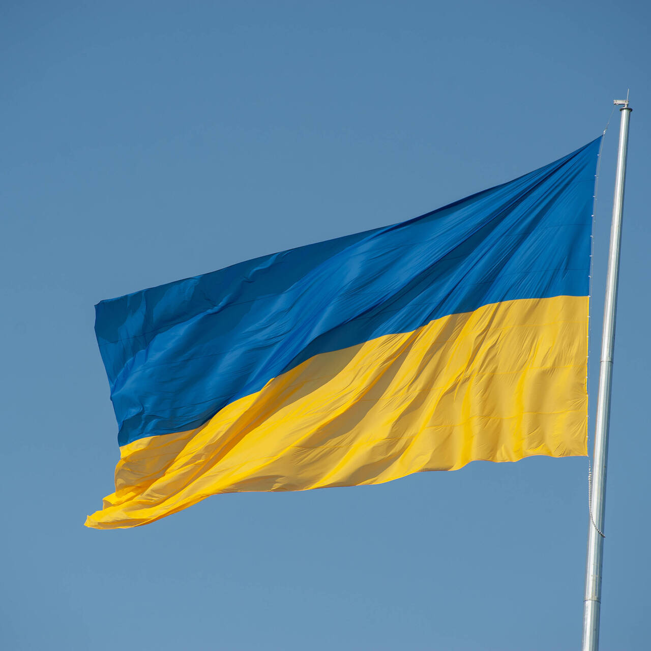 цвет флага украины фото