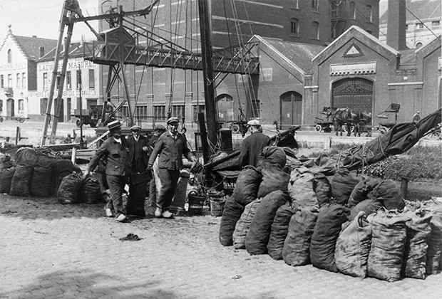 Рыбаки разгружают мешки с раковинами моллюсков на причале в Брюсселе. 1950 год