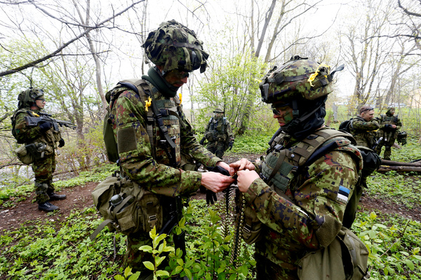 Эстонские военные