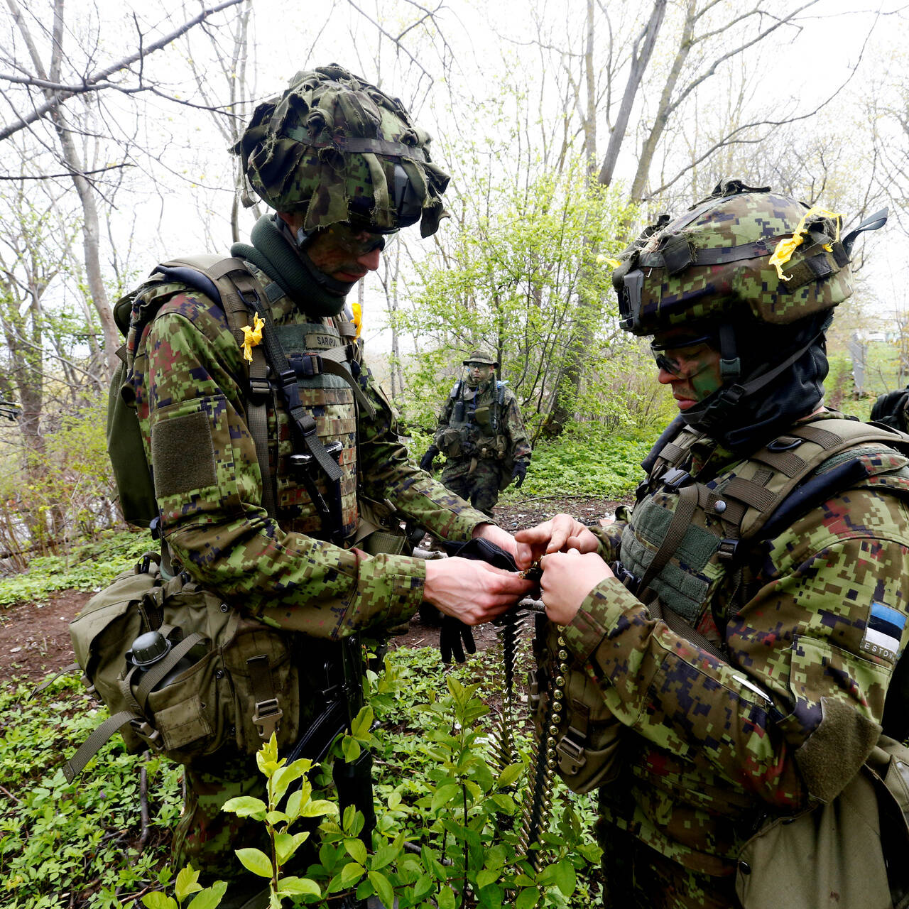 Военные эстонии