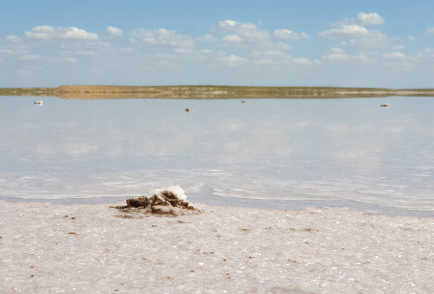 Солевые кристаллы окружают водное зеркало Розового озера