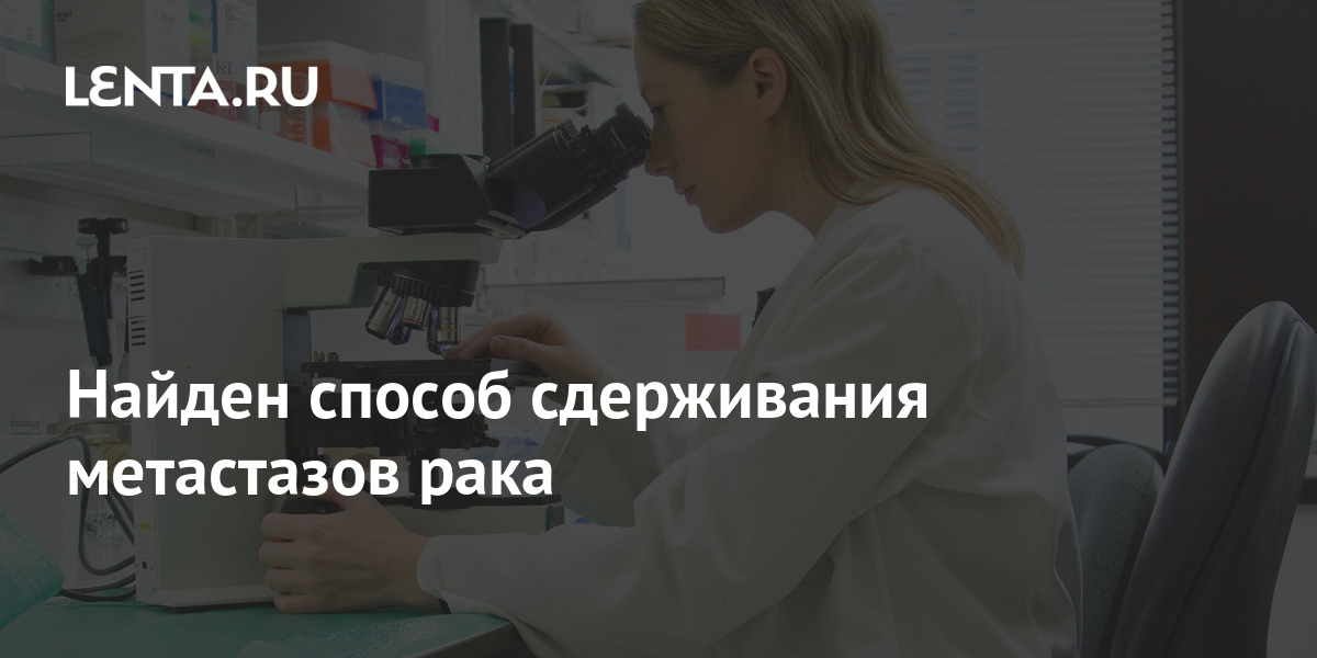 лозунг всемирного дня здоровья 7 апреля 2023 года «здоровье для всех». рак здоровье 2024. цаоп в онкологии что это такое. рак здоровье 2024.