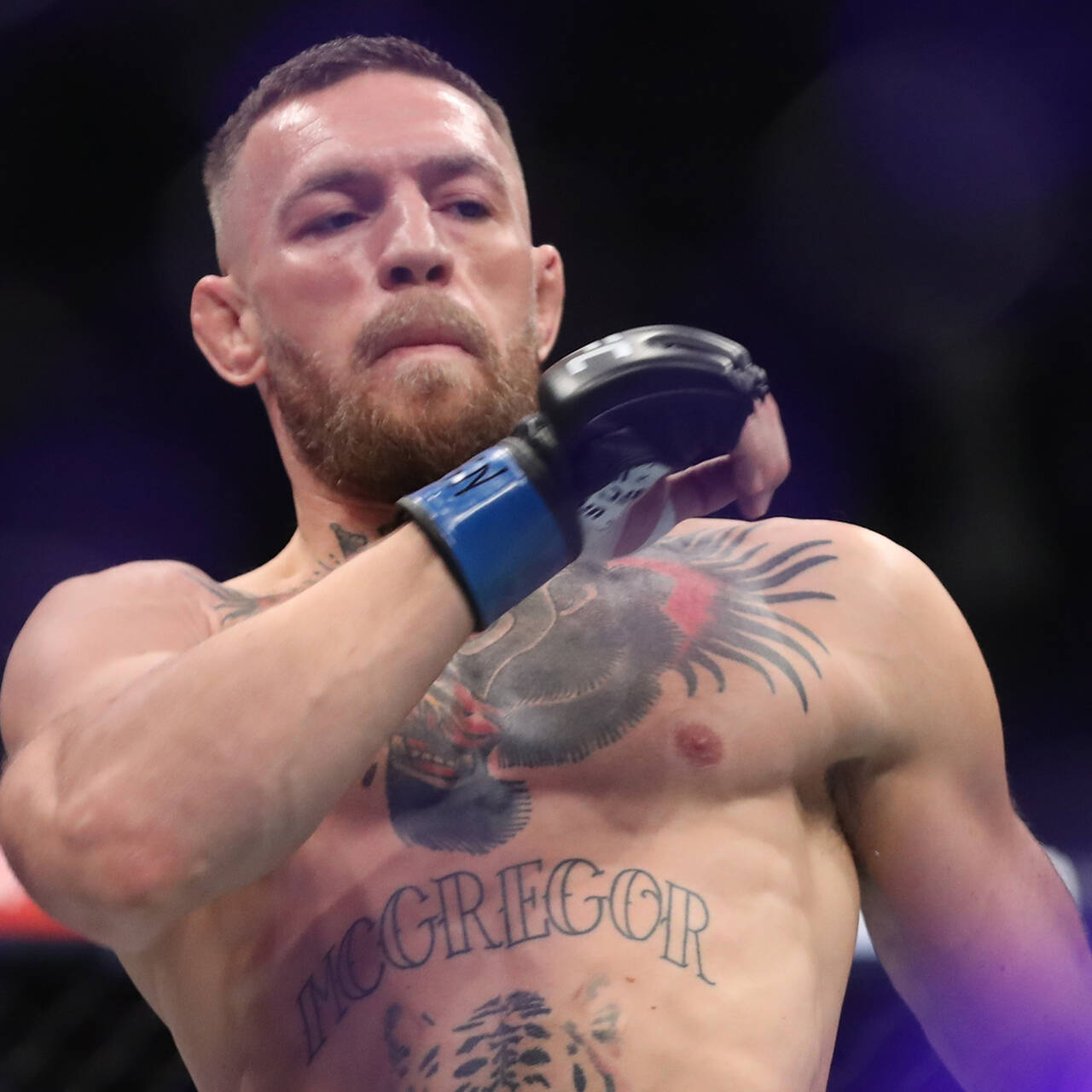 Конор макгрегор нетфликс. Конор МАКГРЕГОР 2022. Conor MCGREGOR 2022. Прическа Конора МАКГРЕГОРА 2022. Конор МАКГРЕГОР прическа 2022.