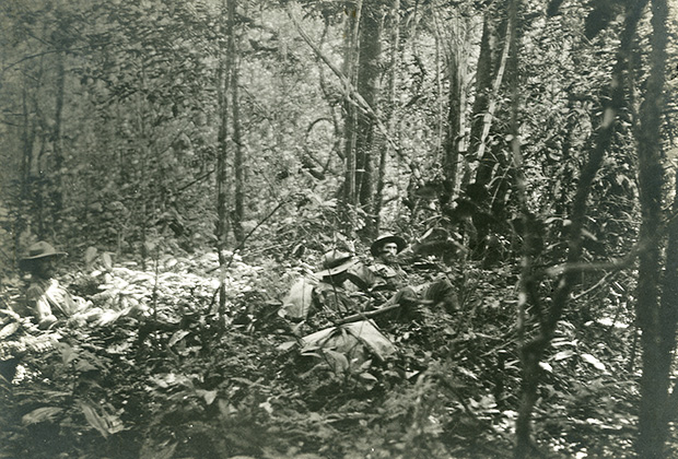 Полдень в лесу, Боливия. 1907 год. Снимок Перси Фосетта 