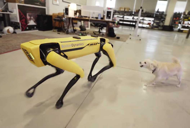 Робот Spot от Boston Dynamics и пес