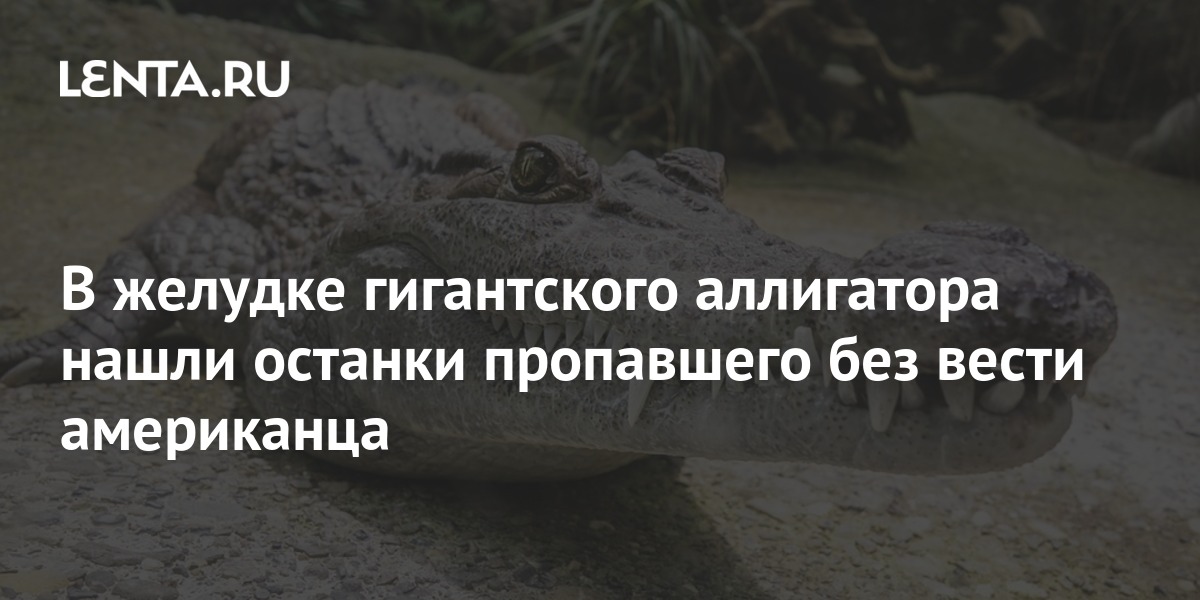 В желудке гигантского аллигатора нашли останки пропавшего без вести американца