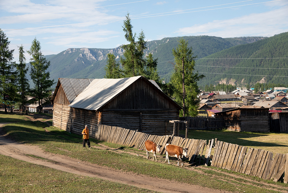 Утро в Орлике