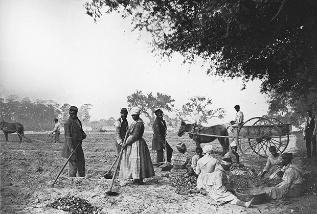 Рабы на плантации
