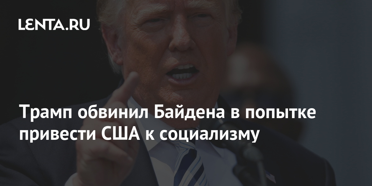 Рассказчик часто рисует мир как бы глазами королевской аналостанки каким видит мир кошка приведите