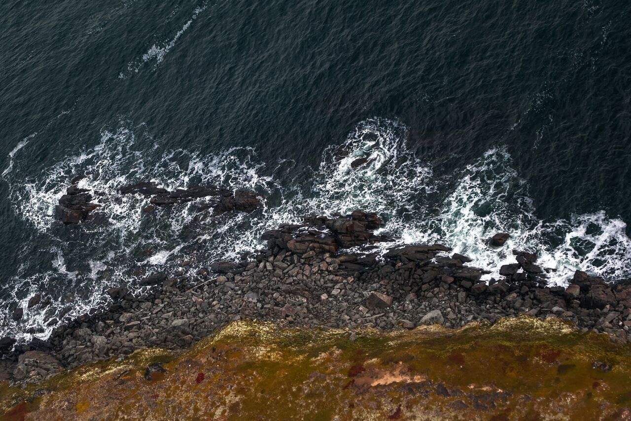 Судно Фаворит Белое Море Фото