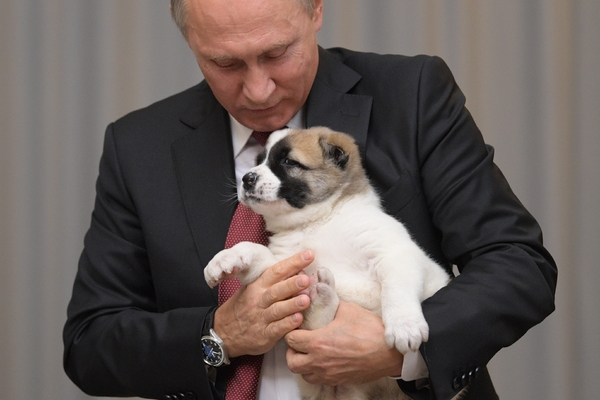 Владимир Путин с щенком по кличке Верный